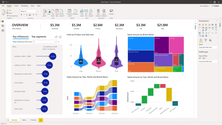 Power BI Consulting Whitecap Canada