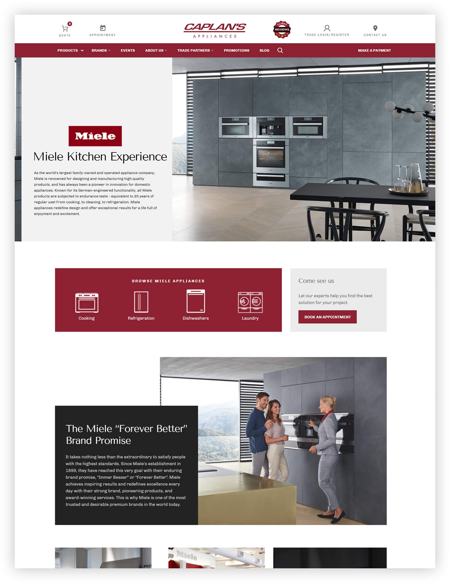 Case Study: Caplan's Appliances Web Development