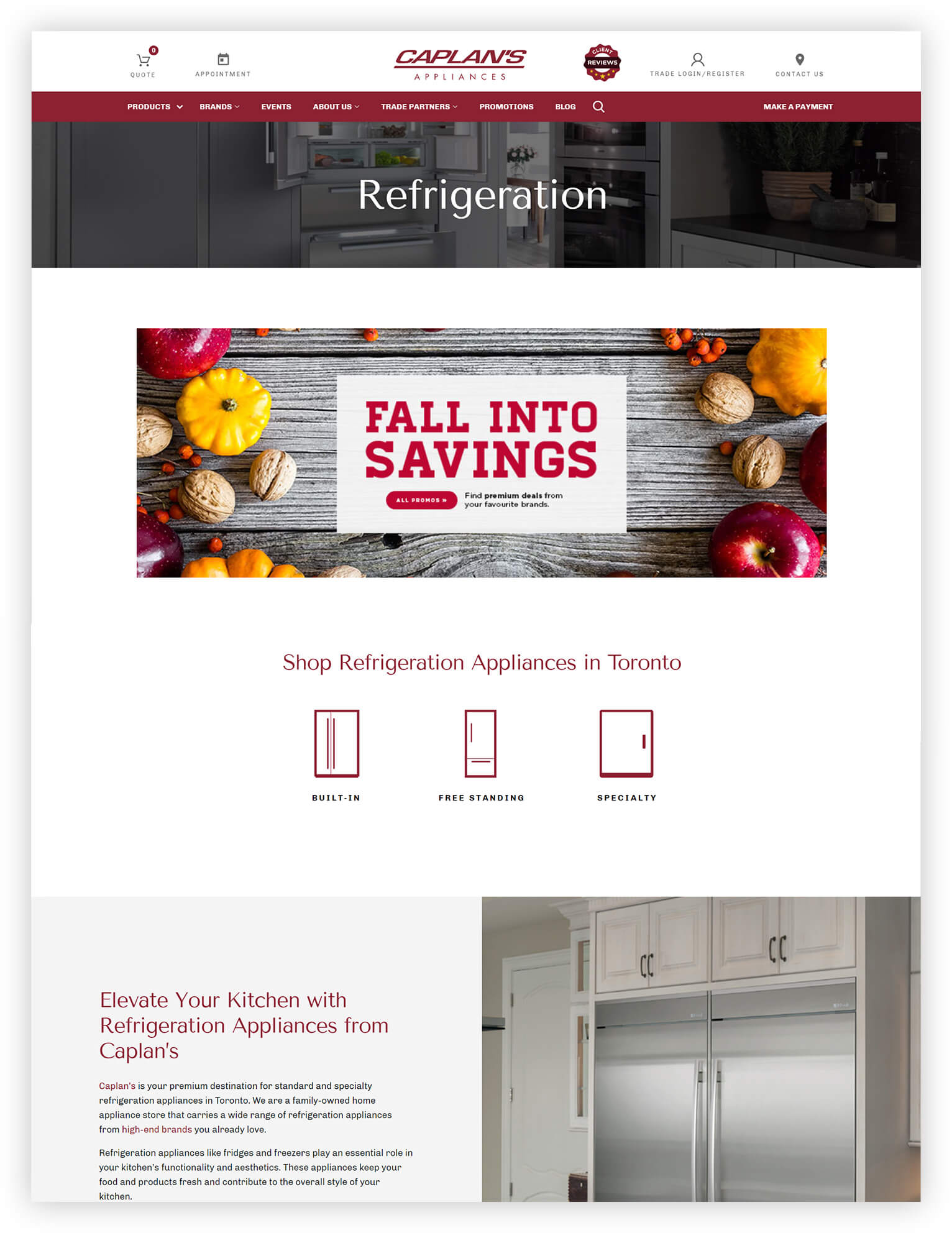 Case Study: Caplan's Appliances Web Development